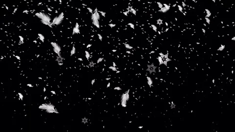 Animated Dense Snowfall with Soft Bokeh Flakes on Black Background 4K Stock Footage 342157597
