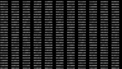 Animated digital bits and bytes on a black computer screen. Stock Footage 108561347