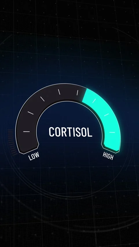 Animated digital cortisol level gauge fluctuating from critical high to safe  Stock Footage 311949131