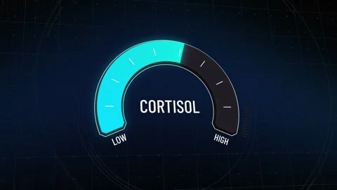 Animated digital cortisol level gauge moving from safe low to critical high Stock Footage 314801660