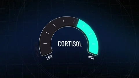 Animated digital cortisol meter level moving from critical high to safe low Stock Footage 314343241