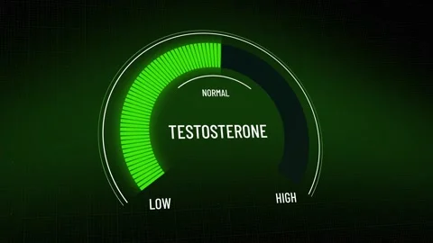 Animated digital testosterone level gauge for presentation, graphic showing t Stock Footage 315517396