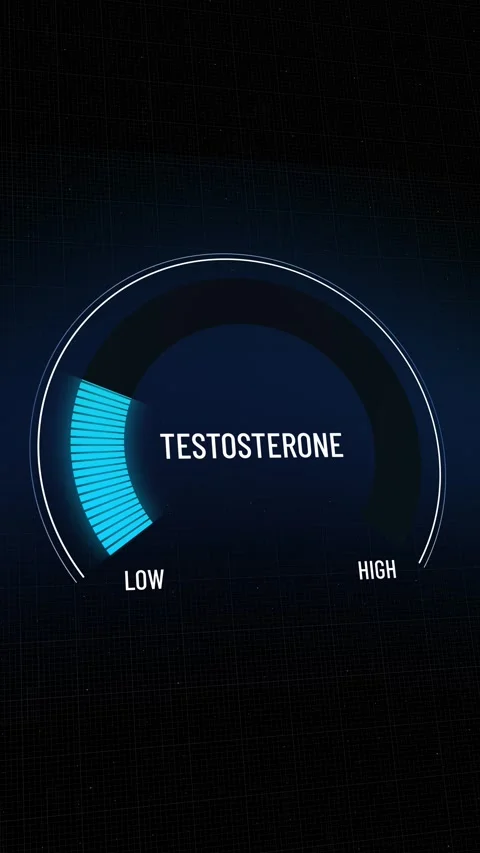 Animated digital testosterone level gauge, graphic presentation, moving from  Vídeos de archivo 315517456