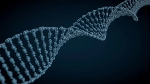 Animated DNA chain model. 3D rendering Stock Footage 79164239
