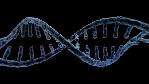 Animated DNA chain model. 3D rendering Stock Footage 86012914