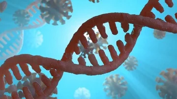 Animated DNA chain model. 3D rendering Stock Footage 86012968