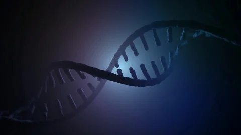 Animated DNA chain model. 3D rendering Stock Footage 86013075
