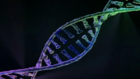 Animated DNA chain model. 3D rendering Stock Footage 94625524