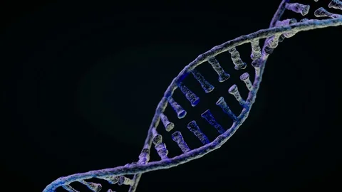Animated DNA chain model. 3D rendering Stock Footage 94625660