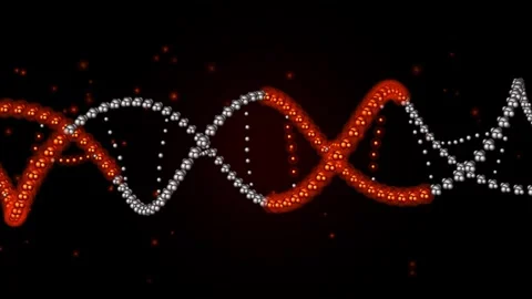 Animated dna helix rotating structure with glowing metallic spheres on blac.. 스톡 동영상 347195421