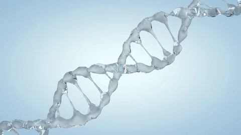 Animated DNA model from drops of water. 3D rendering Stockbeeldmateriaal 79477277