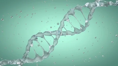 Animated DNA model from drops of water. 3D rendering Stock Footage 79477280