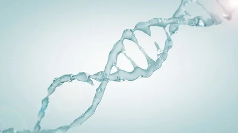 Animated DNA model from drops of water. 3D rendering Stock Footage 79477281