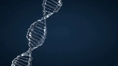 Animated DNA model from drops of water. 3D rendering Stock Footage 79477282