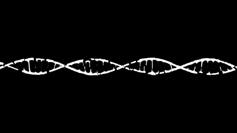 Animated DNA Strand Visualization in Black and White Stock Footage 341776948