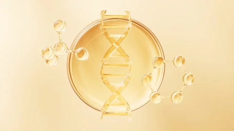Animated dna structure in yellow liquid in petri dish with rotating molecul.. 스톡 동영상 327247908