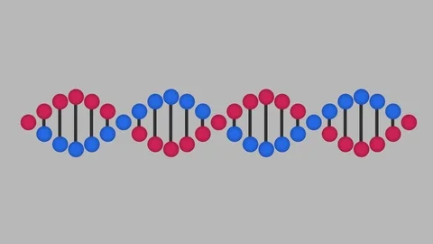 Animated DNA with Transparent Background Vidéo 111397087
