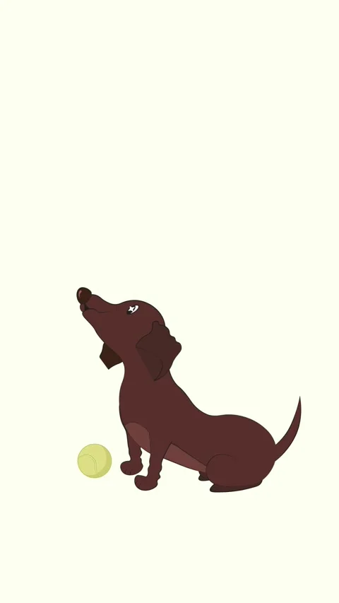 Animated dog loading screen. Cute dachshund wags tail, ball bounces. Stock Footage 324084723