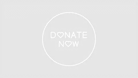 Animated donate now sticker white line icon Video stock 335746039