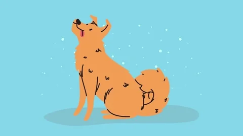 Animated drawing of a cute ginger dog sitting and looking up at falling sno.. Stock Footage 339215431