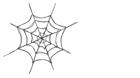 Animated drawing of spooky spider web Stock Footage 96933058