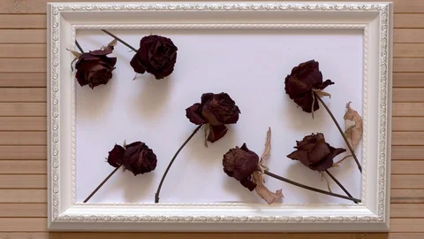Animated dried roses in white frame. Still life on bamboo backdrop. Stock Footage 115478044