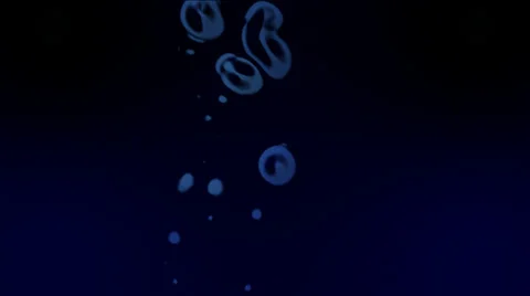 Animated Drops Falling Stock Footage 37726659