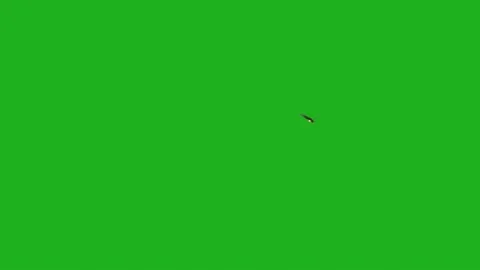 Animated Eagle Flying here and there Footage Stock Footage 232977019