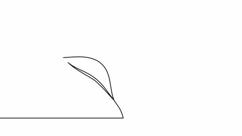 Animated eco two leaves with continuous lines Video stock 300531193