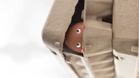 Animated egg in an egg carton Stock Footage 231368900