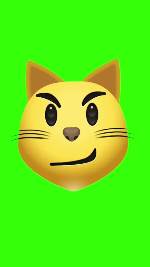 Animated emoji cat with suspicious expression on green screen footage Video stock 329406076