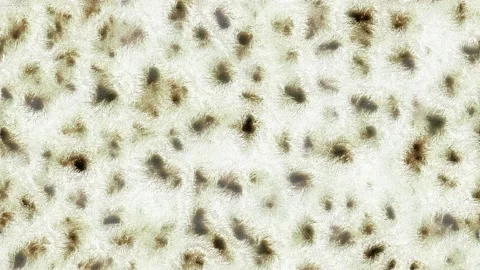 Animated Energetic Living-like Texture 스톡 동영상 170775814