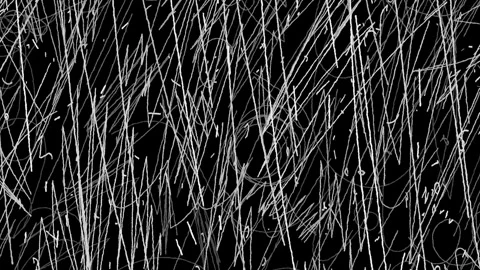 Animated Energetic White Lines on Black Background Stock Footage 303437208