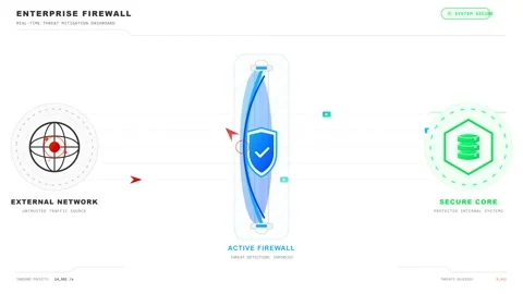 Animated Enterprise Firewall Network Security Icon Transition Video Video stock 339379542