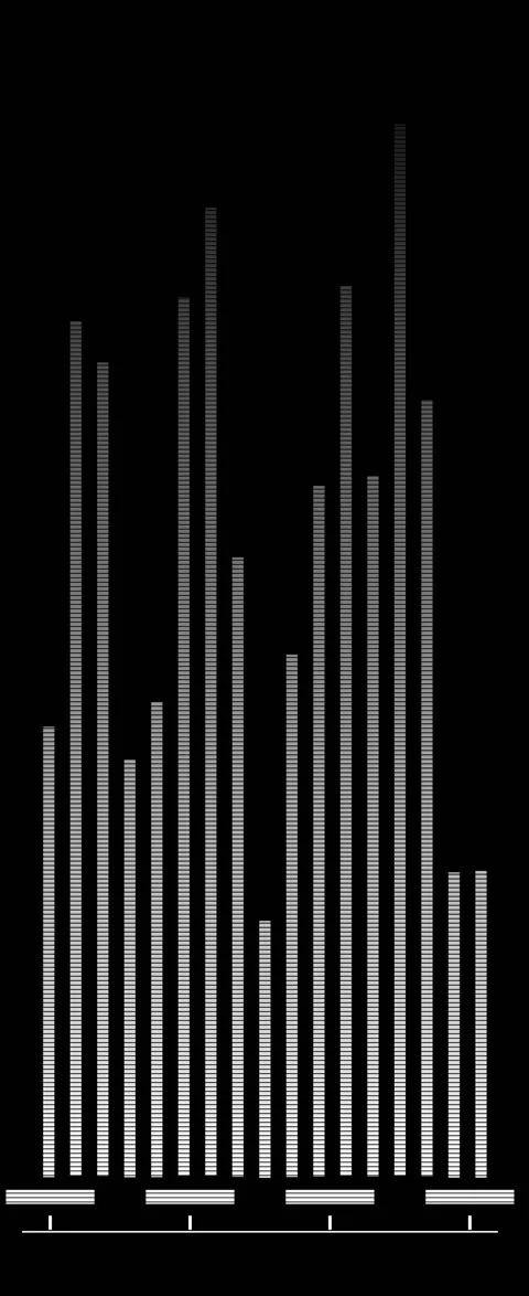 Animated equalizer. wave banners and bars. Equalizer bars. Stock Footage 236773315