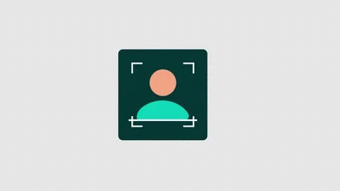 Animated Facial Recognition Scanning Icon Video - Transparent Stock Footage 337309736