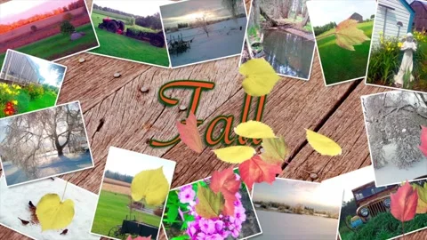 Animated Fall Intro with Falling Leaves and Autumn Imagery Vídeo Stock 347154668