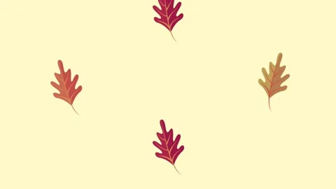 Animated fall oak leaves falling gently down against light yellow background. Stock Footage 333897825