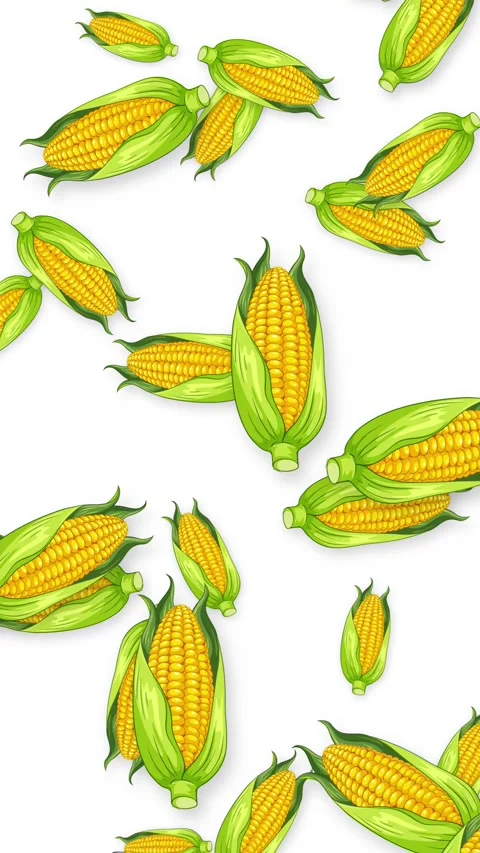 Animated Falling Corn Cobs on White Background Vertical Video Stock Footage 344850728