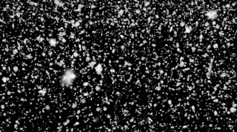 Animated falling detailed large snow flakes 3 Stock Footage 40313364