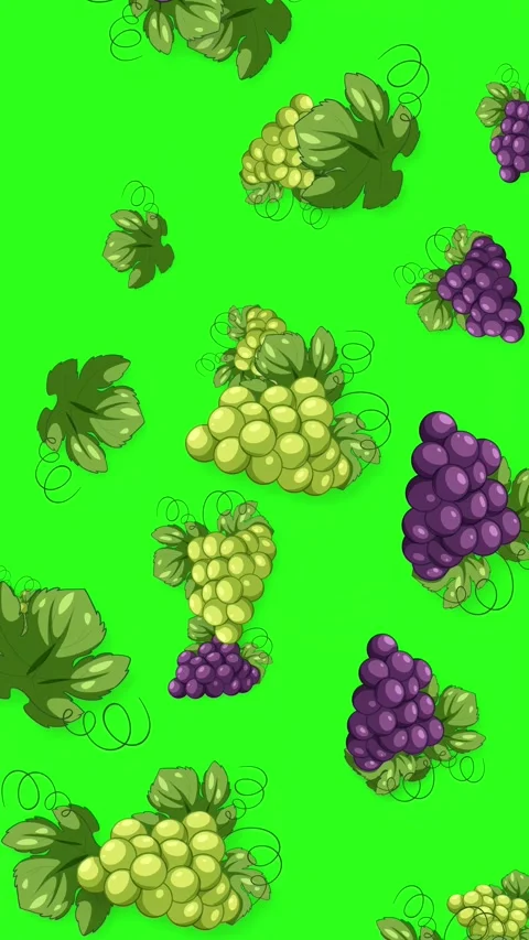 Animated Falling Green and Purple Grapes on Green Background Stock Footage 342923967