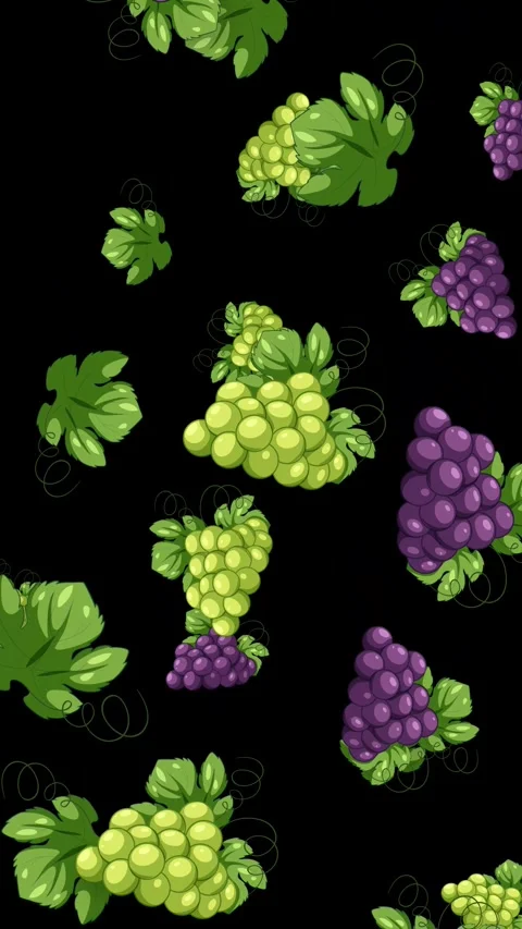 Animated Falling Green and Purple Grapes on Black Background Stock Footage 343830847