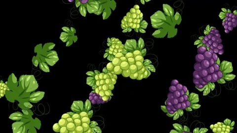 Animated Falling Green and Purple Grapes with Leaves on Black Background Stock Footage 344379409