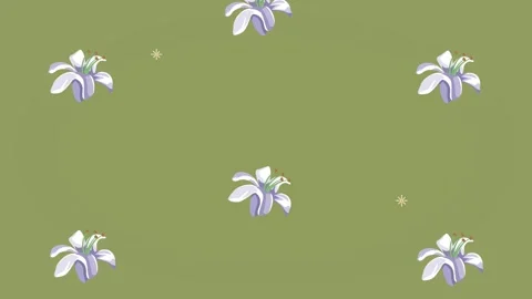 Animated falling lilies background with decorative floral elements for femi.. Stock Footage 339111943