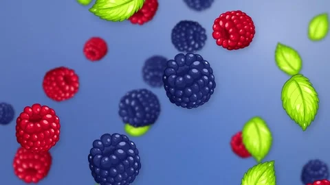 Animated Falling Mixed Berries and Green Leaves on Blue Background Stock Footage 346113669