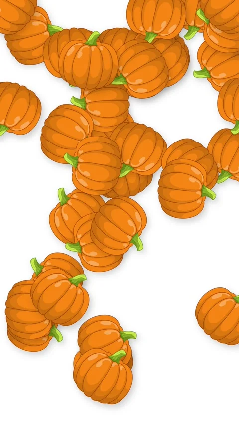 Animated Falling Orange Pumpkins on a Solid White Background Stock Footage 339528446
