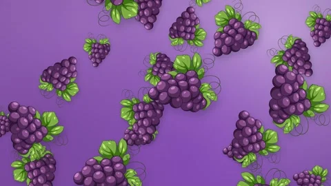 Animated Falling Purple Grape Bunches on Gradient Mesh Background Stock Footage 344231096