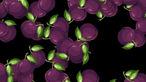 Animated Falling Purple Plums with Green Leaves on Stock Footage 339391791