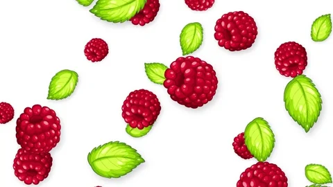 Animated Falling Red Raspberries and Green Mint Leaves on White Background Stock Footage 345206685