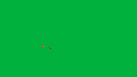 Animated falling star on green screen perfect for animation VFX Stock Footage 308866879